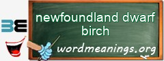 WordMeaning blackboard for newfoundland dwarf birch